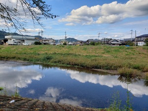 佐野市K様邸 シロアリ被害修繕②