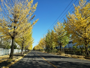 邑楽町 店舗リフォーム⑬